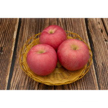 Fresh Big Size Red Qinguan Apple From Garden